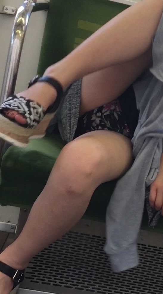 【パンチラエロ画像】電車内で涼みながら対面の下着をじっくり鑑賞(；´Д｀)